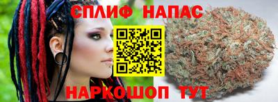 сатива Рязань